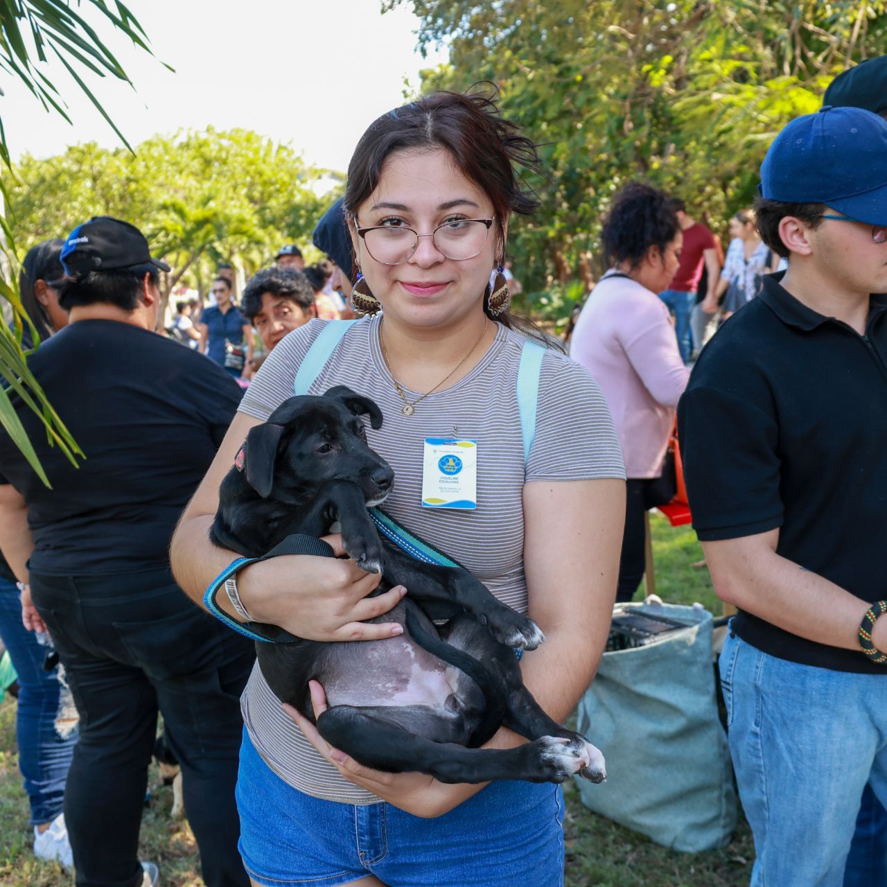 uploads/6/32/01 (860).Jpeg